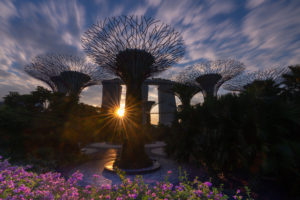 Gardens by bay, Singapore